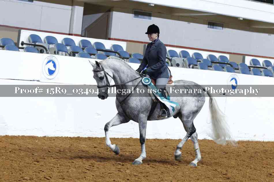 Proof Number 15R9_03494