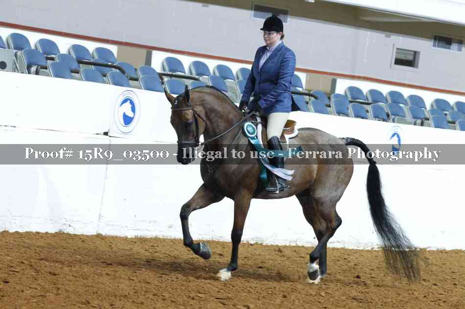 Proof Number 15R9_03500