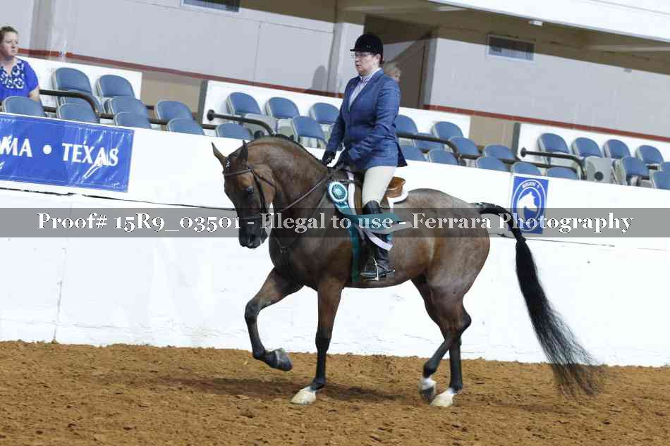 Proof Number 15R9_03501