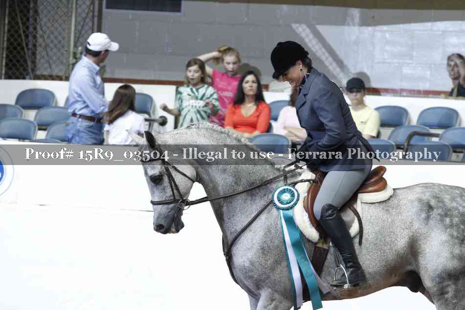 Proof Number 15R9_03504