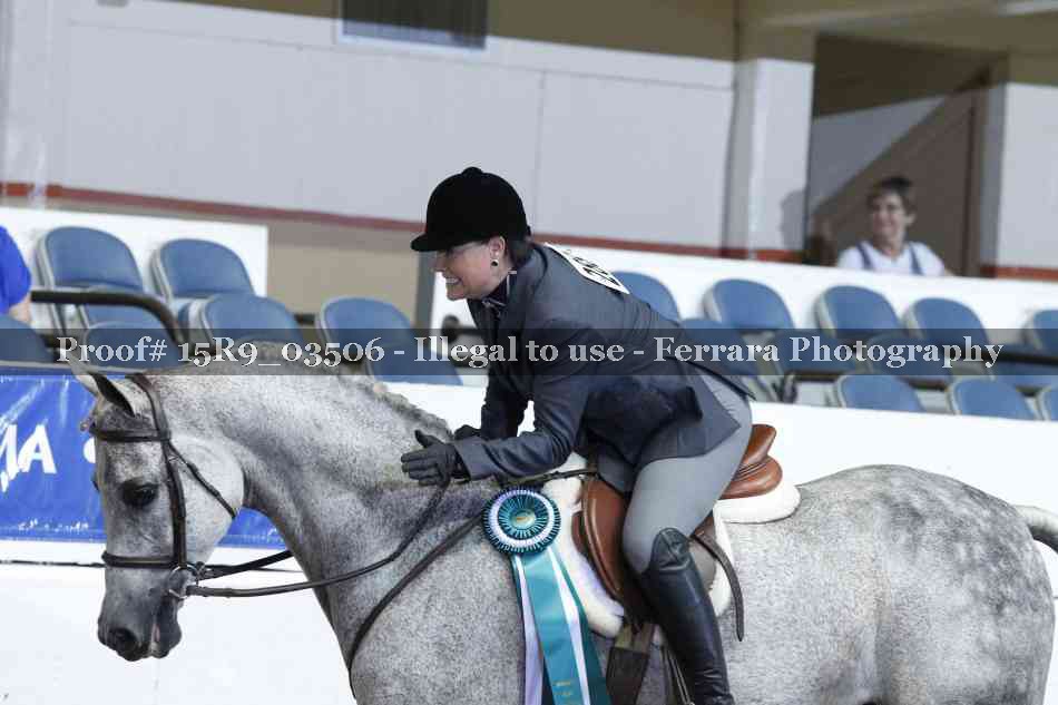 Proof Number 15R9_03506