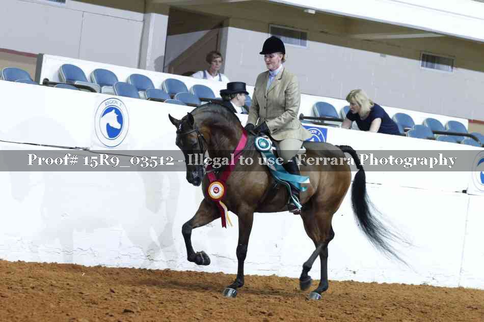 Proof Number 15R9_03512