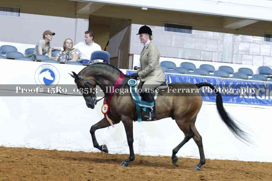 Proof Number 15R9_03513