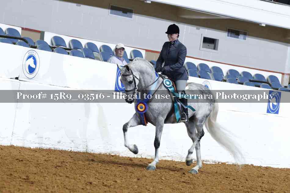 Proof Number 15R9_03516