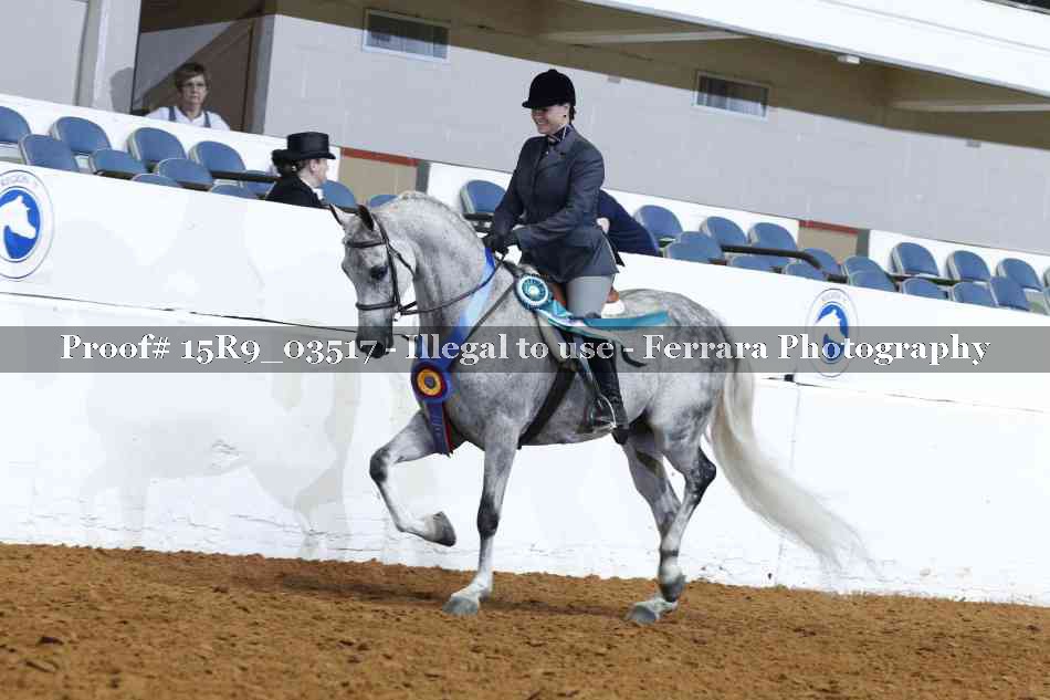 Proof Number 15R9_03517