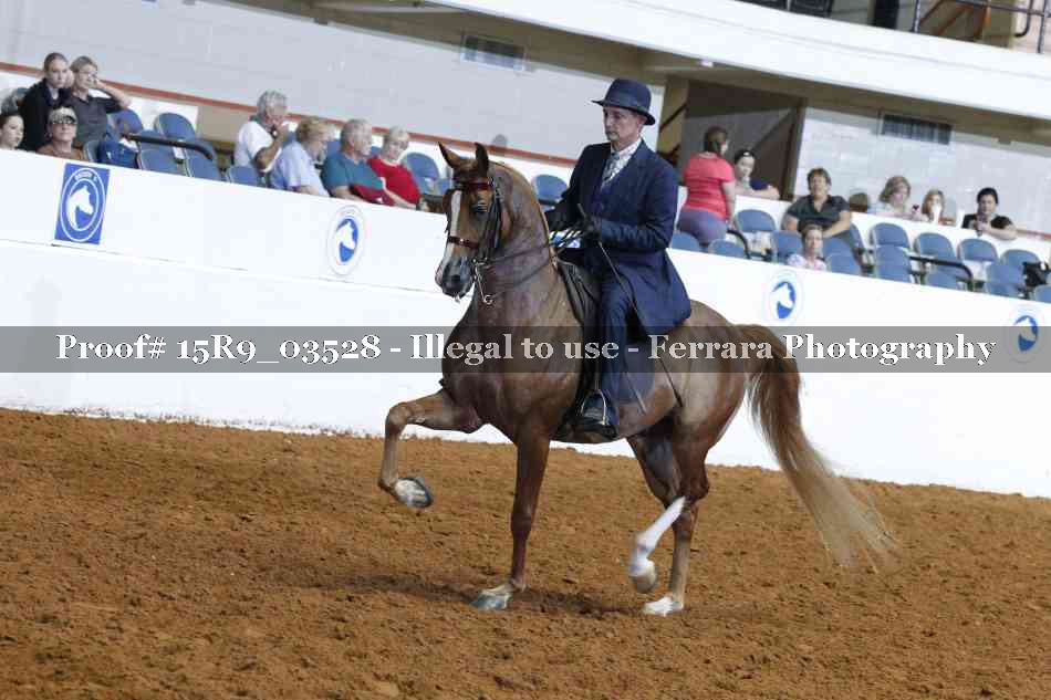 Proof Number 15R9_03528