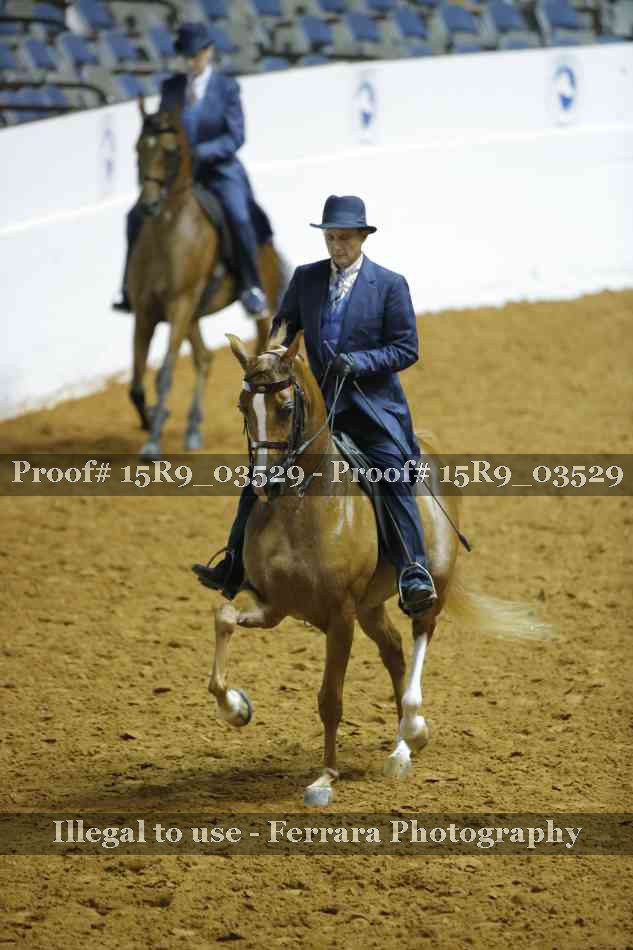 Proof Number 15R9_03529