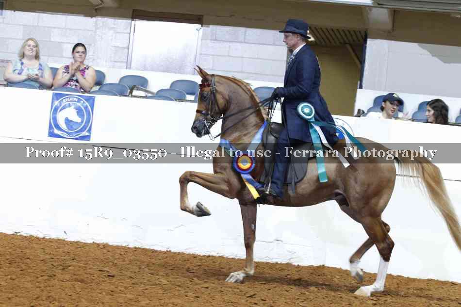 Proof Number 15R9_03550