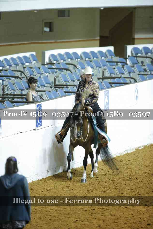 Proof Number 15R9_03597
