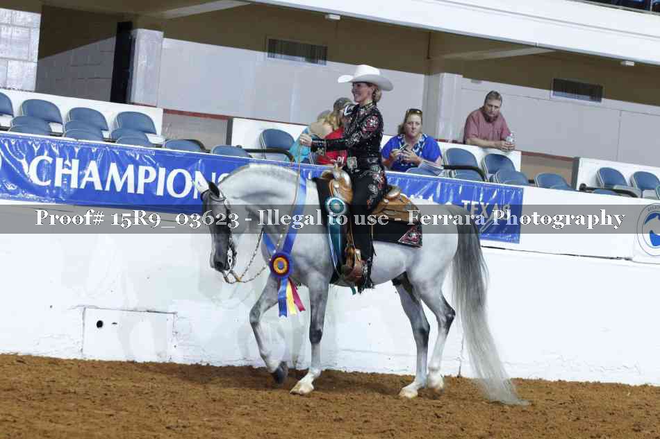 Proof Number 15R9_03623