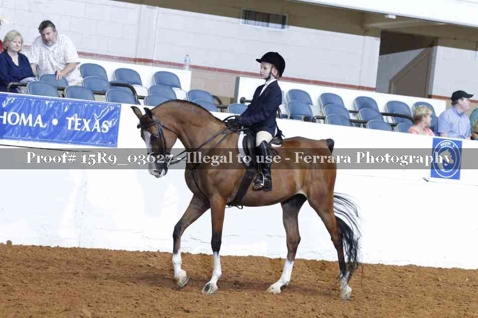 Proof Number 15R9_03627