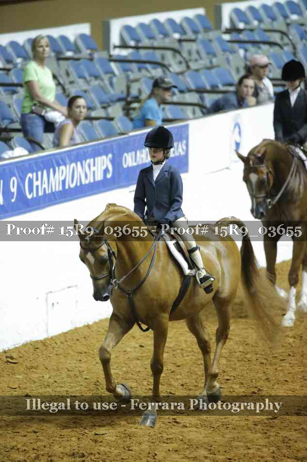 Proof Number 15R9_03655