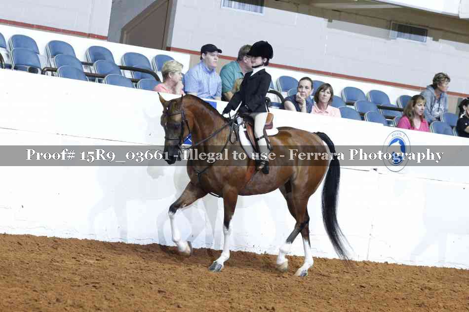 Proof Number 15R9_03661
