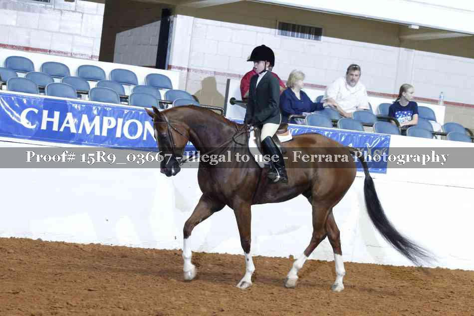 Proof Number 15R9_03667