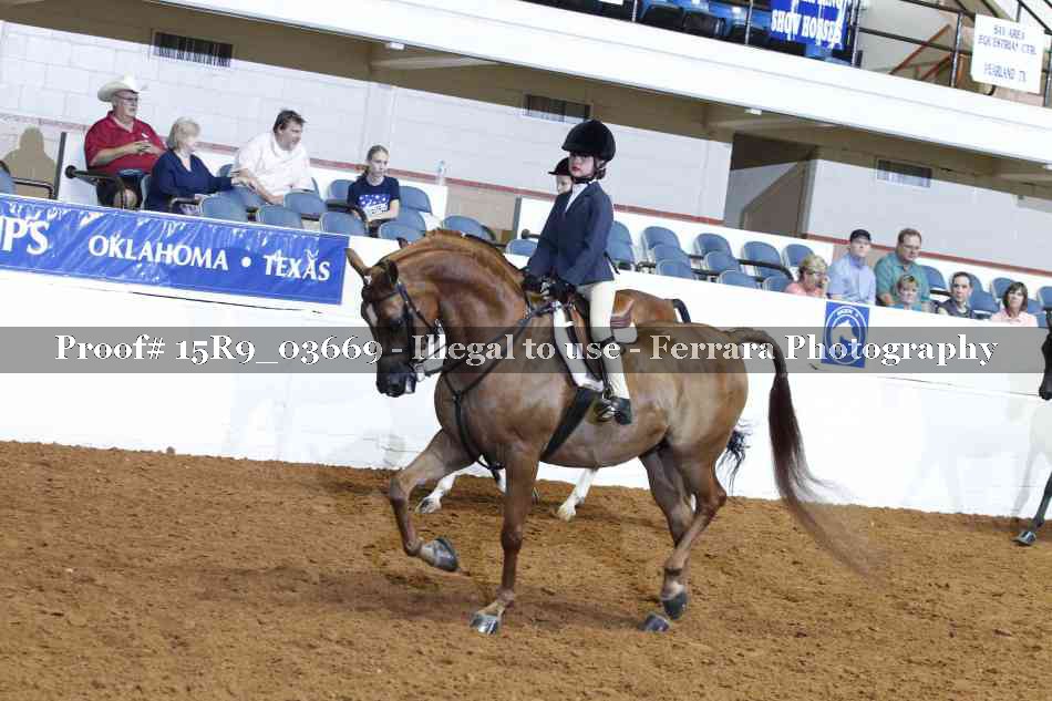 Proof Number 15R9_03669