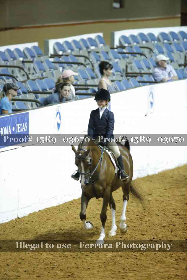 Proof Number 15R9_03670