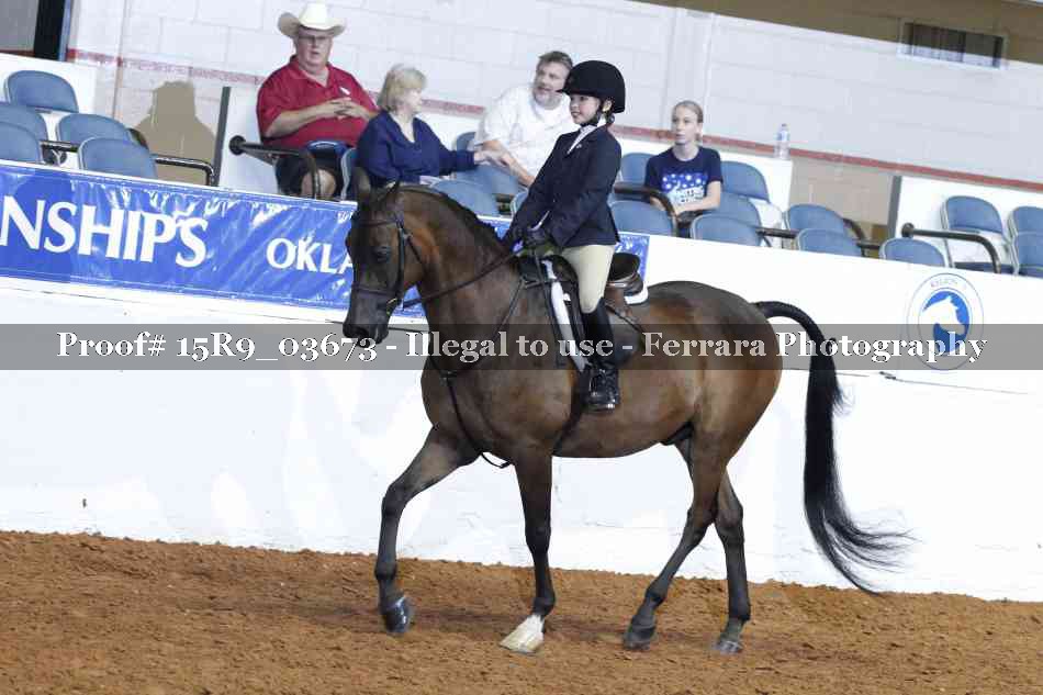 Proof Number 15R9_03673