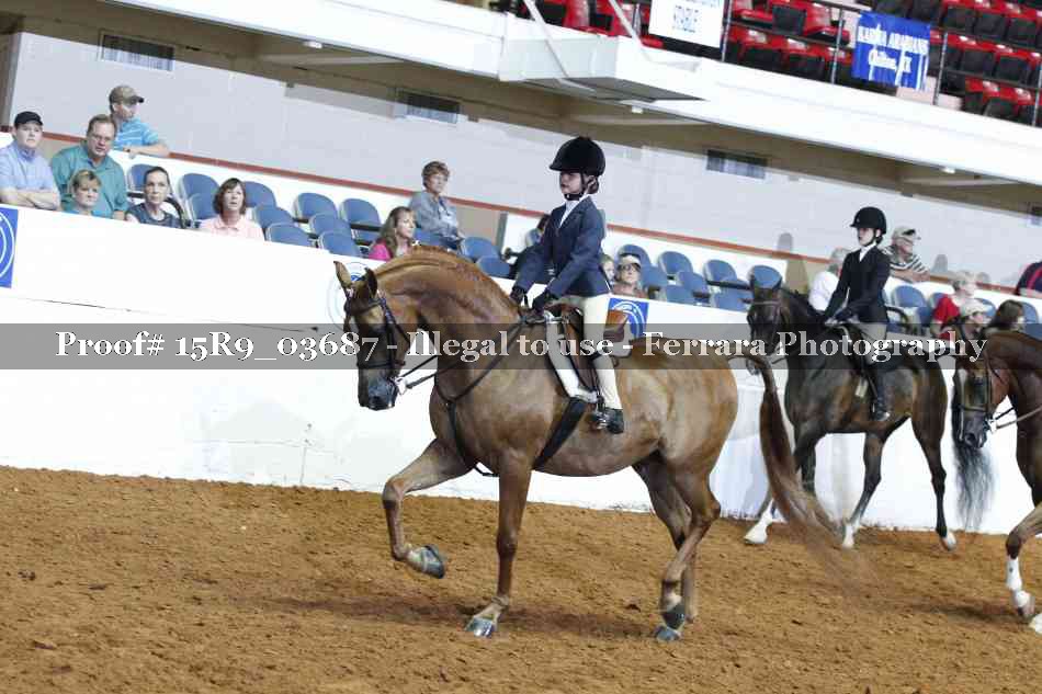 Proof Number 15R9_03687