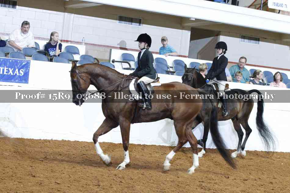 Proof Number 15R9_03688