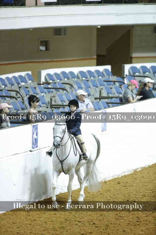 Proof Number 15R9_03690