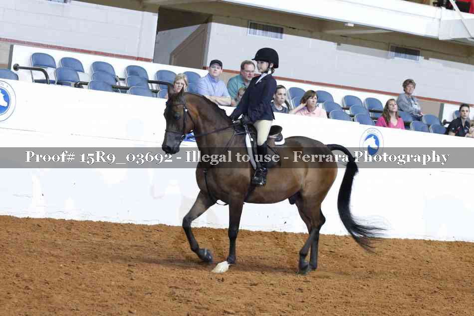 Proof Number 15R9_03692