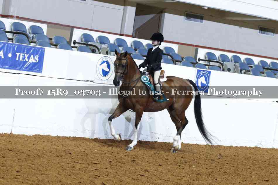 Proof Number 15R9_03703