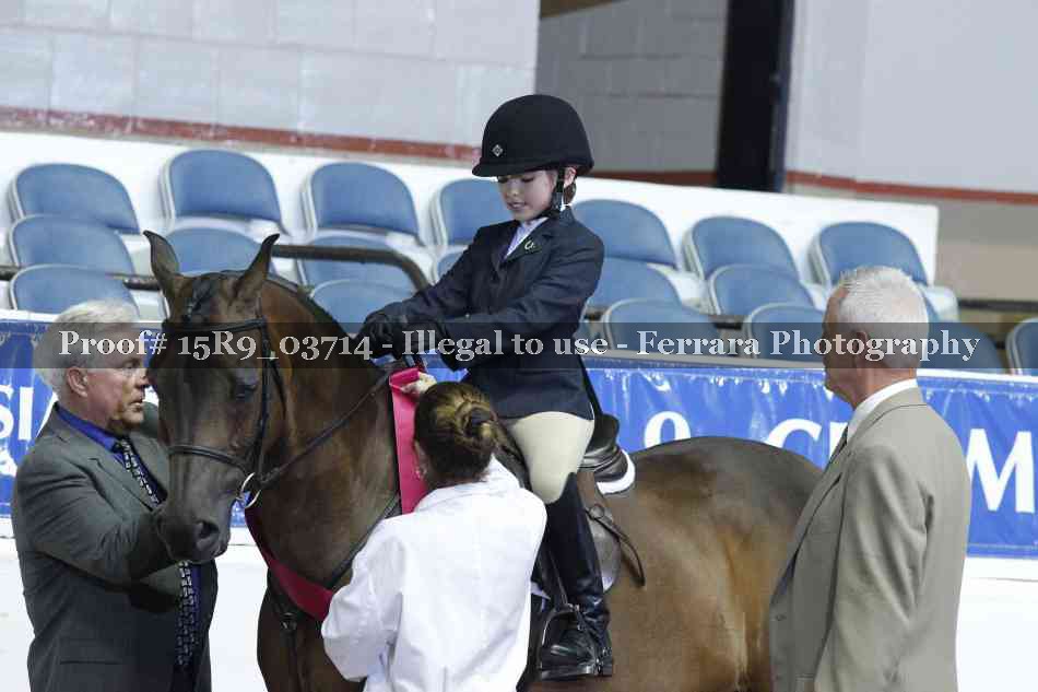 Proof Number 15R9_03714