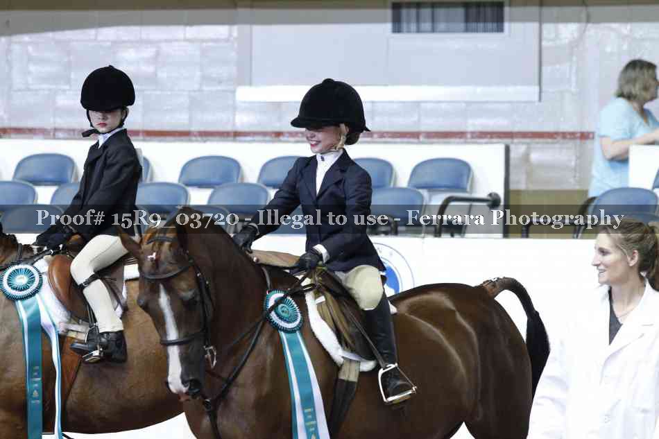 Proof Number 15R9_03720