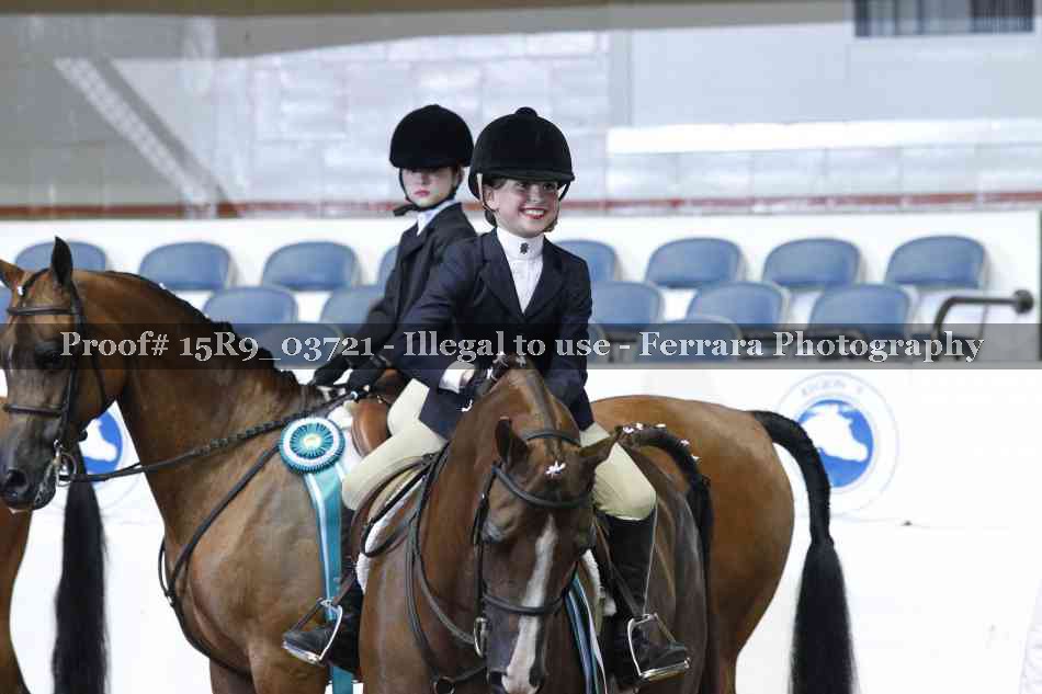 Proof Number 15R9_03721