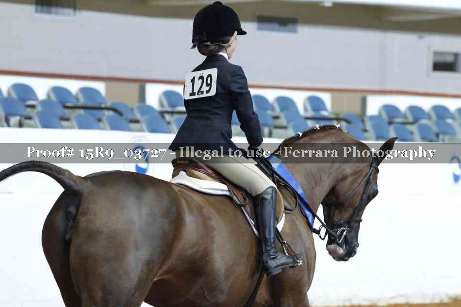 Proof Number 15R9_03727