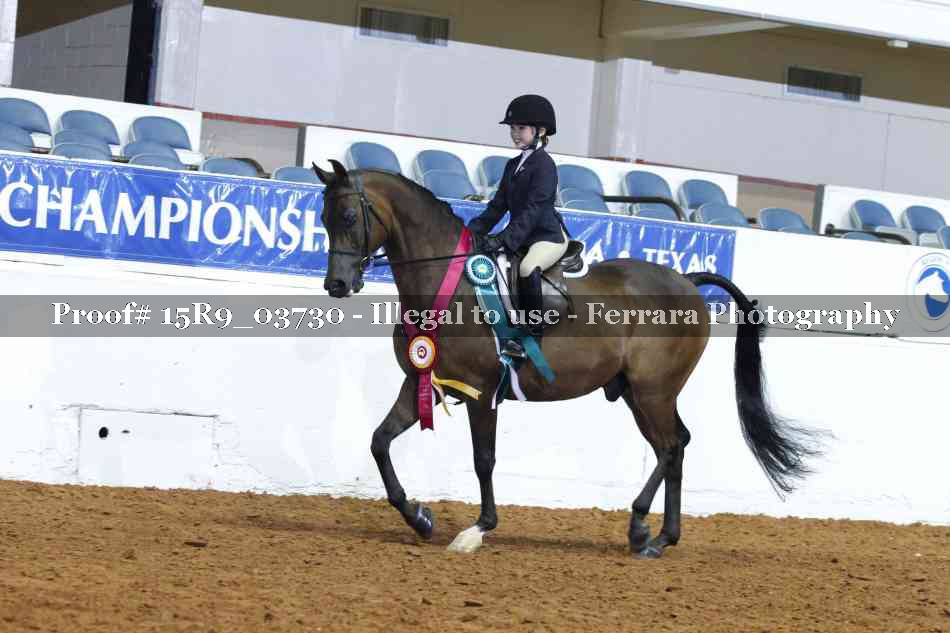 Proof Number 15R9_03730