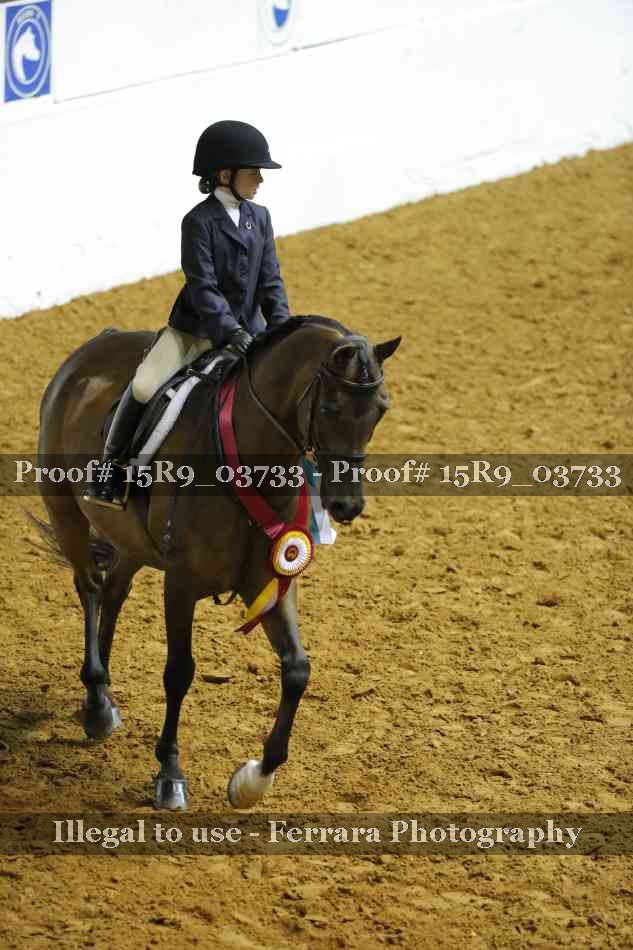 Proof Number 15R9_03733