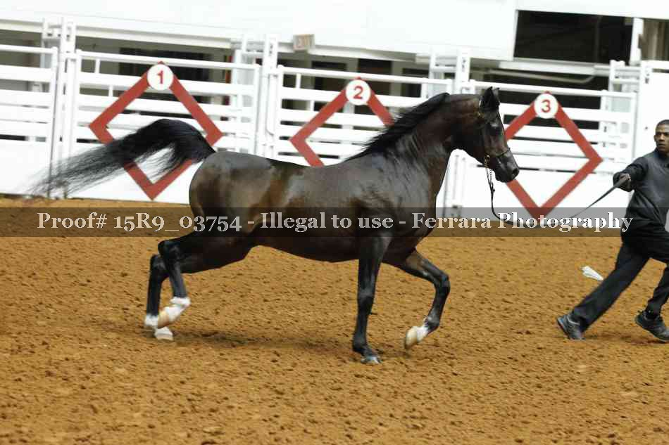 Proof Number 15R9_03754