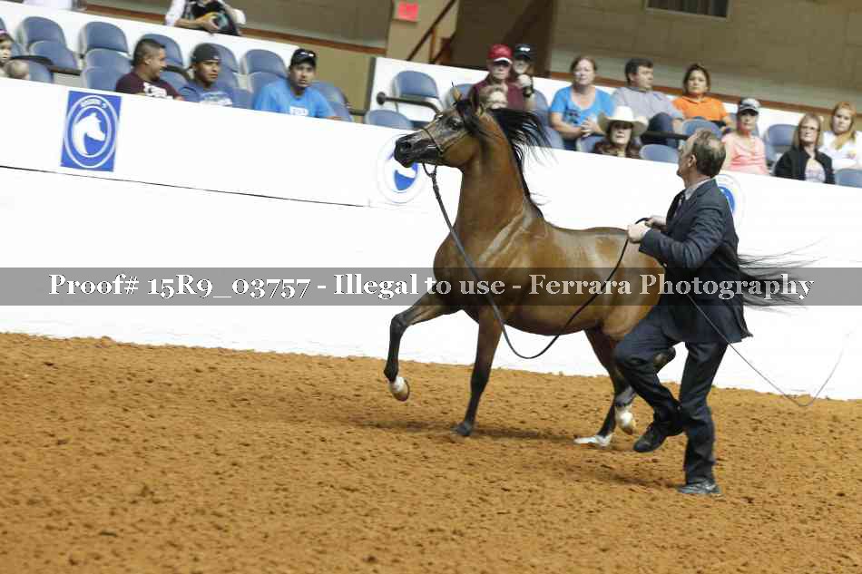 Proof Number 15R9_03757