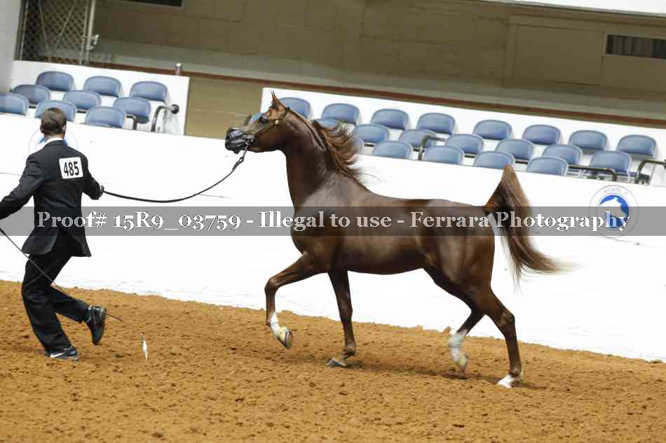 Proof Number 15R9_03759