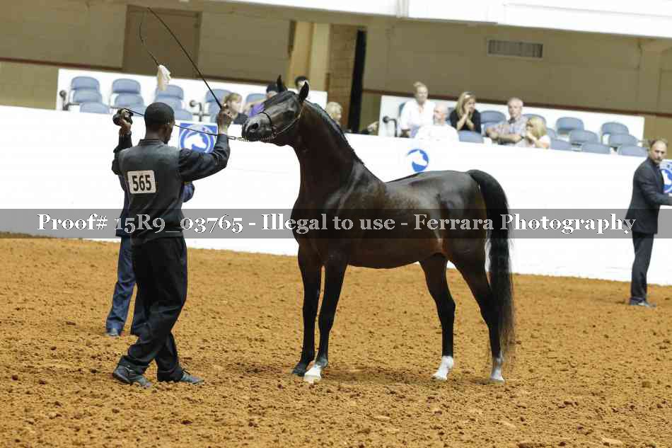 Proof Number 15R9_03765