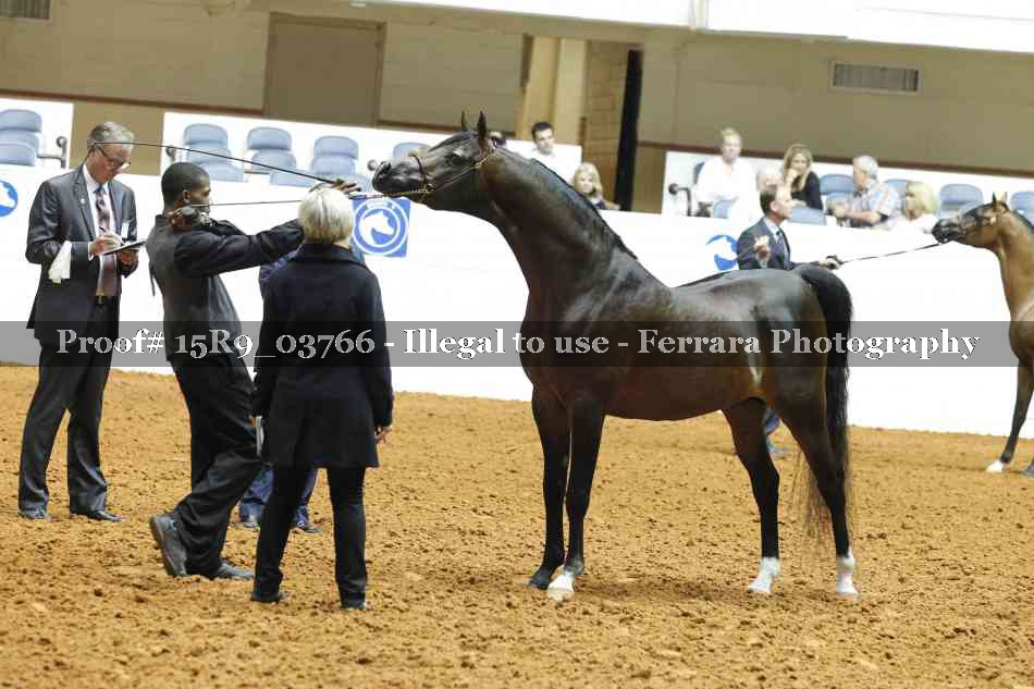 Proof Number 15R9_03766