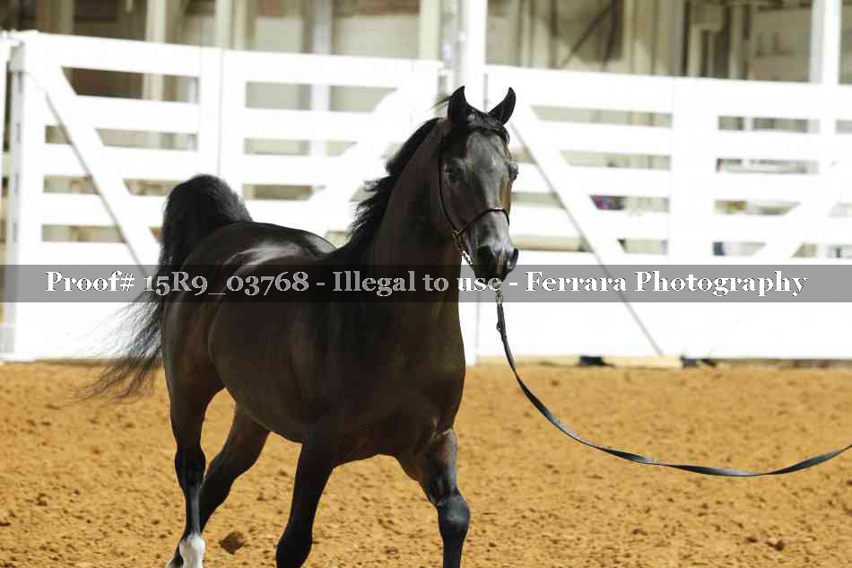 Proof Number 15R9_03768