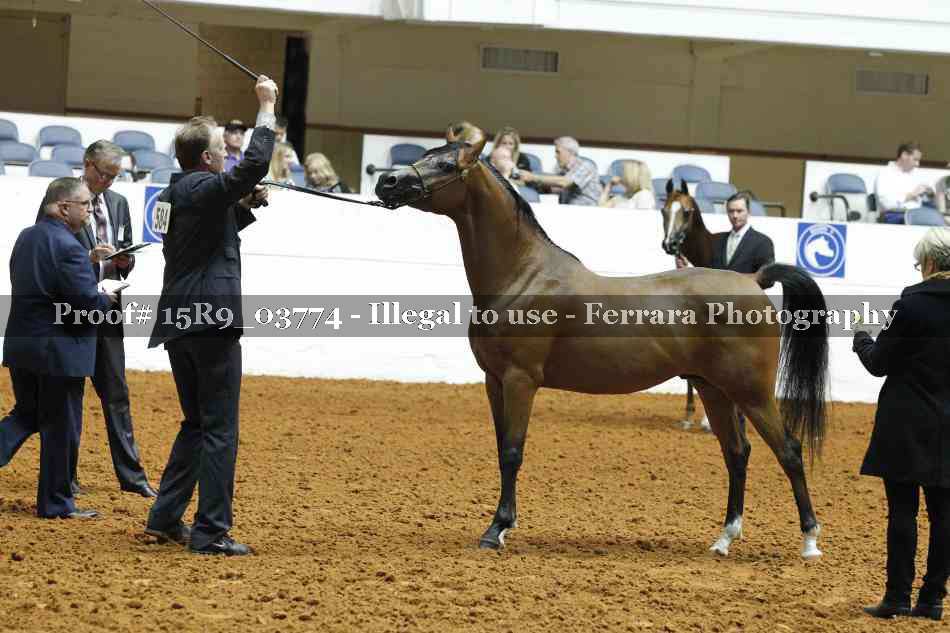 Proof Number 15R9_03774