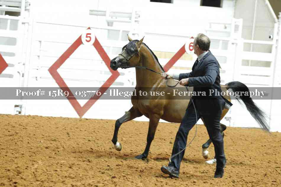 Proof Number 15R9_03776