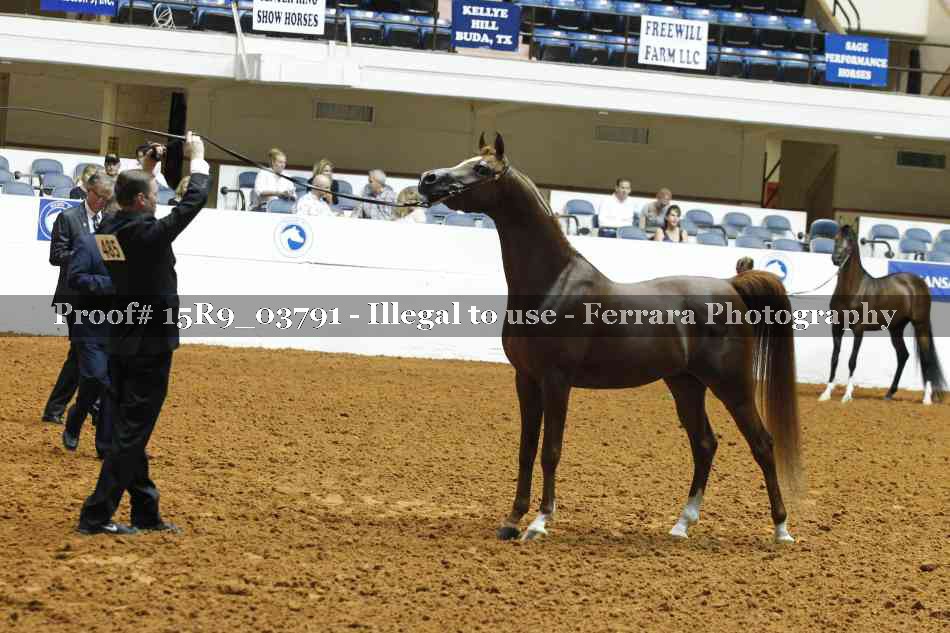 Proof Number 15R9_03791