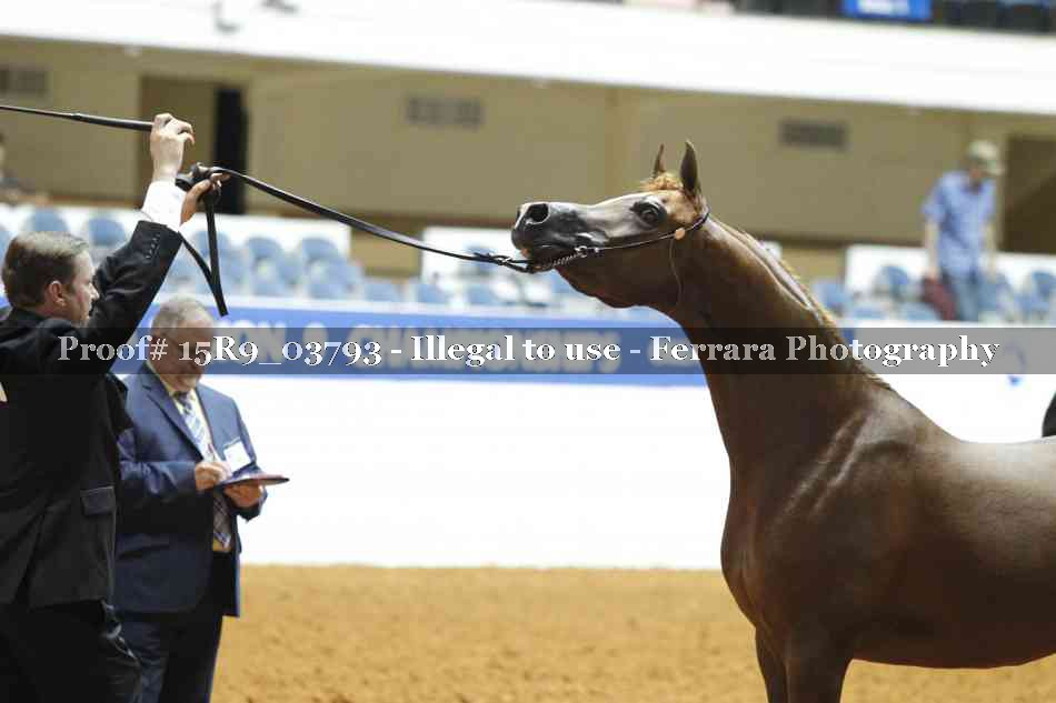 Proof Number 15R9_03793