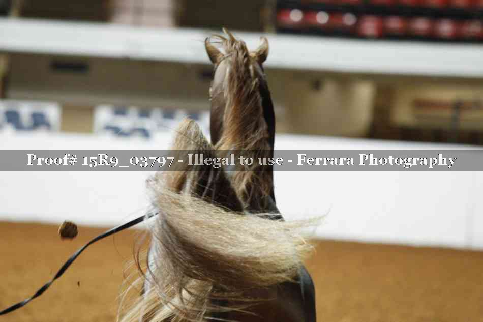 Proof Number 15R9_03797