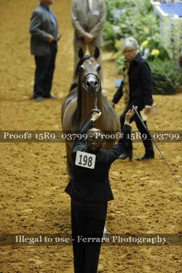 Proof Number 15R9_03799