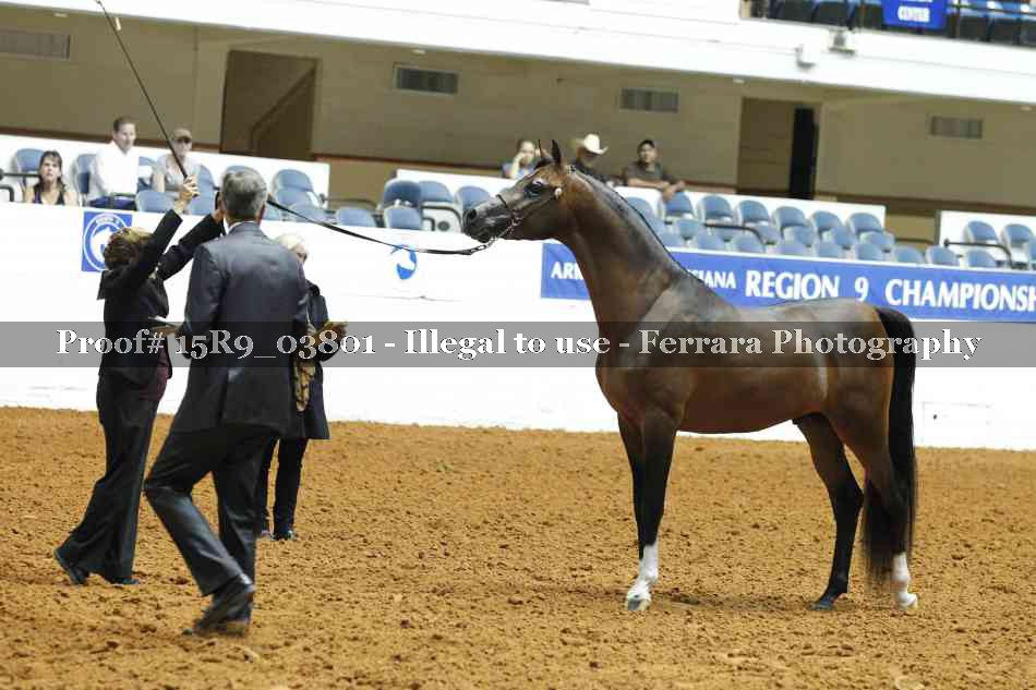 Proof Number 15R9_03801