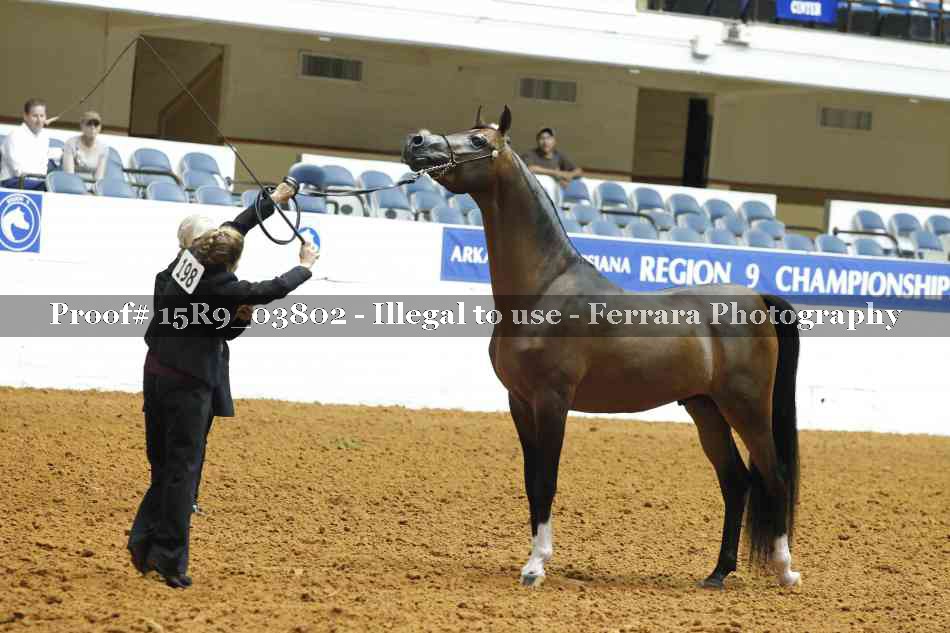 Proof Number 15R9_03802