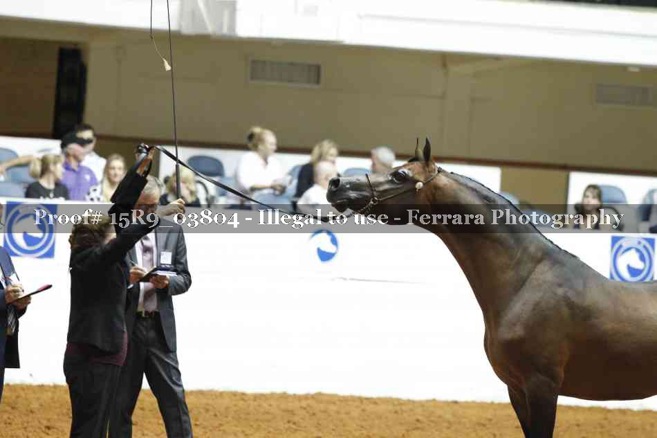 Proof Number 15R9_03804
