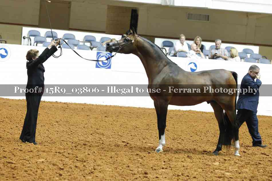 Proof Number 15R9_03806