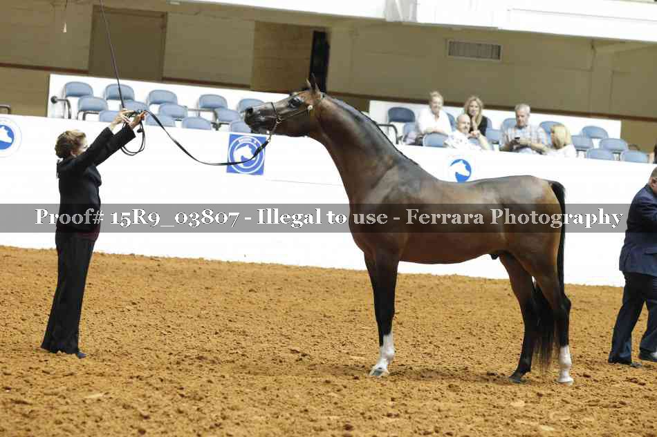 Proof Number 15R9_03807