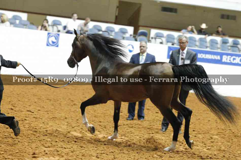 Proof Number 15R9_03809